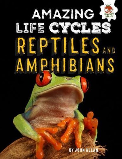 Reptiles and Amphibians - Amazing Life Cycles, John Allan - Paperback - 9781912108992