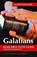 Galatians Faithbuilders Bible Study Guide, Mathew Bartlett - Paperback - 9781912120949