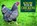 Know Your Chickens, Jack Byad - Paperback - 9781912158478