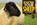 Know Your Sheep, Jack Byard - Paperback - 9781912158508