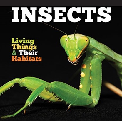 Insects, Grace Jones - Paperback - 9781912171811