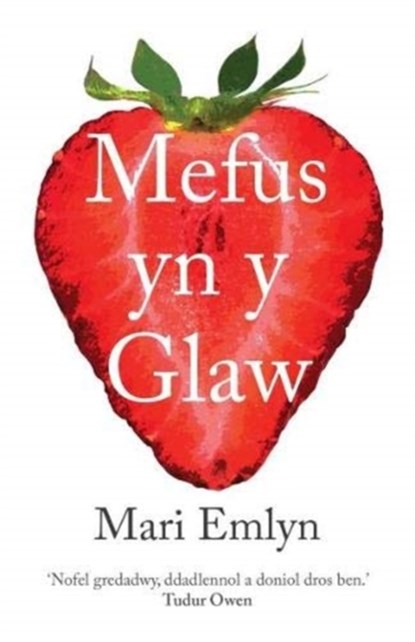 Mefus yn y Glaw, Mari Emlyn - Paperback - 9781912173389