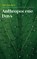 Anthropocene Days, John Dargavel - Gebonden - 9781912186686