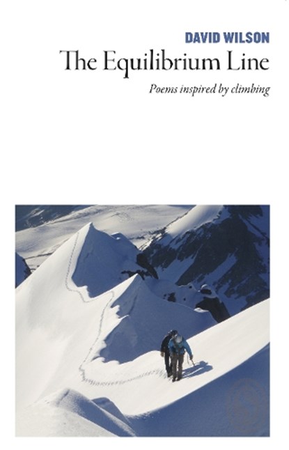 The Equilibrium Line, David Wilson - Paperback - 9781912196746