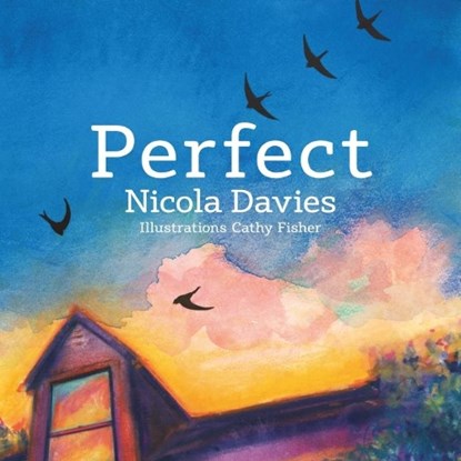 Perfect, Nicola Davies - Paperback - 9781912213498