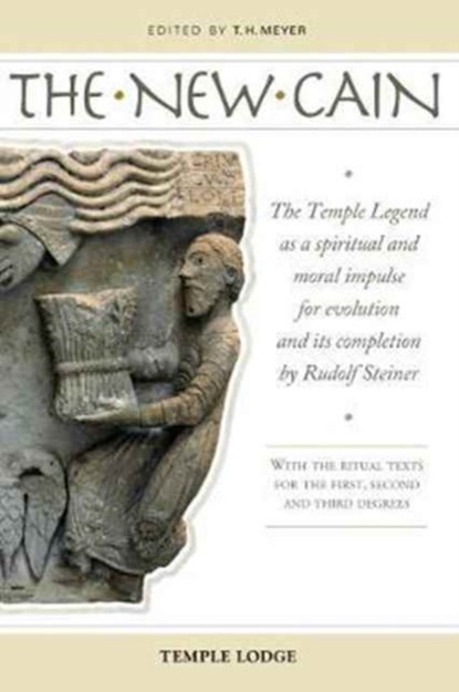 The New Cain, T. H. Meyer - Paperback - 9781912230013