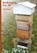 Beekeeping for All, Abbe Emile Warre - Gebonden - 9781912271696