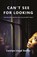 Can't See for Looking, Carolyn Lloyd Davies - Paperback - 9781912430918