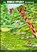 Giraffe Notebook, Eunice Wilkie - Paperback - 9781912522798
