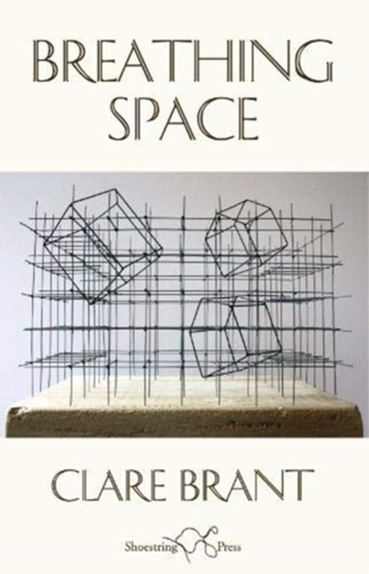 Breathing Space, Clare Brant - Paperback - 9781912524556