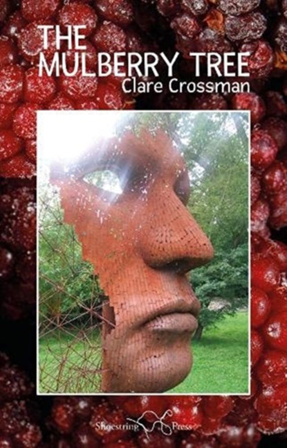 The Mulberry Tree, Clare Crossman - Paperback - 9781912524587
