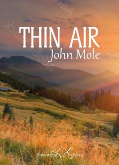 Thin Air, John Mole - Paperback - 9781912524945