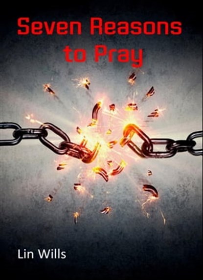 Seven Reasons to Pray, Lin Wills - Ebook - 9781912529247