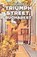 Triumph Street, Bucharest, Dov Hoenig - Paperback - 9781912545872