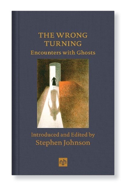 The Wrong Turning: Encounters with Ghosts, Stephen Johnson - Gebonden - 9781912559305