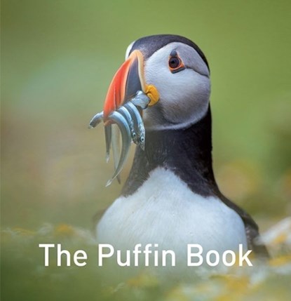 Nature Book Series, The: The Puffin Book, Drew Buckley - Gebonden - 9781912654796