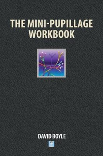 The Mini-Pupillage Workbook, BOYLE,  David - Paperback - 9781912687749