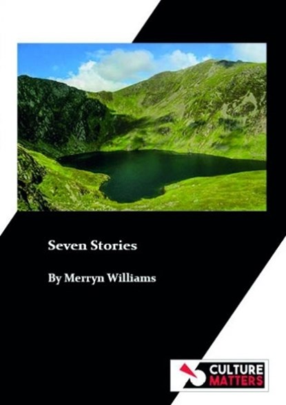 Seven Stories, Merryn Williams - Paperback - 9781912710874