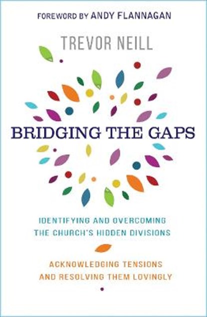 Bridging the Gaps, Trevor Neill - Paperback - 9781912726158
