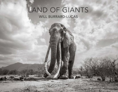 Land of Giants, niet bekend - Gebonden - 9781912751006