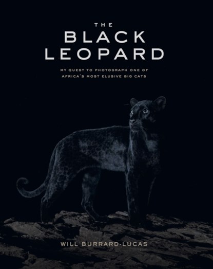 The Black Leopard, Will Burrard-Lucas - Gebonden - 9781912751013