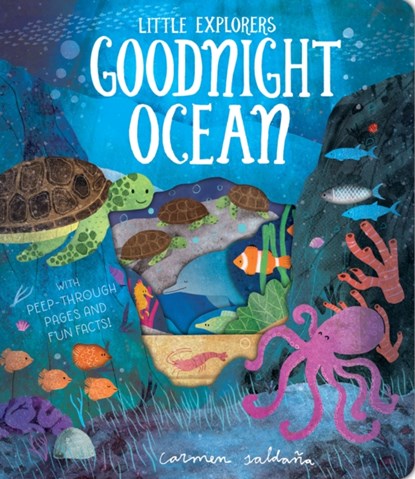 Goodnight Ocean, Becky Davies - Gebonden - 9781912756148