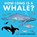 How Long Is a Whale?, Alison Limentani - Paperback - 9781912757855