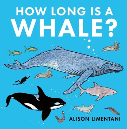 How Long Is a Whale?, Alison Limentani - Paperback - 9781912757855