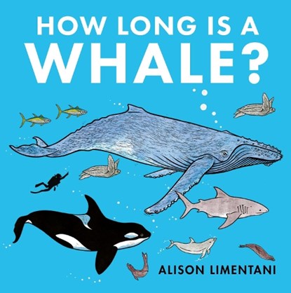 How Long is a Whale?, Alison LImentani - Paperback - 9781912757855