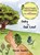 Oaky the Oak Leaf, HAWKINS,  Marian - Gebonden - 9781912765324