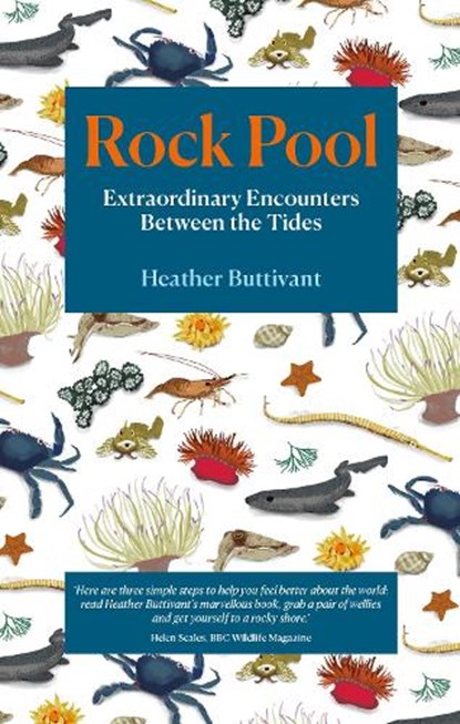 Rock Pool, Heather Buttivant - Paperback - 9781912836123