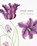 Wild Garden, niet bekend - Paperback - 9781912900626
