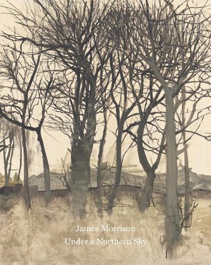 Under a Northern Sky , John Morrison - Paperback - 9781912900824