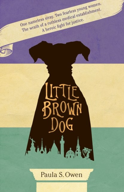 Little Brown Dog, Paula S Owen - Paperback - 9781912905430