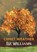 Comet Weather, Liz Williams - Paperback - 9781912950461