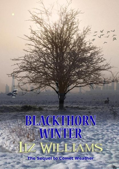 Blackthorn Winter, Liz Williams - Paperback - 9781912950799