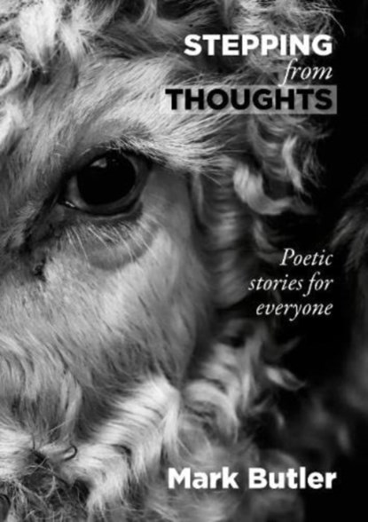 Stepping from Thoughts, Mark Butler - Gebonden - 9781913012373