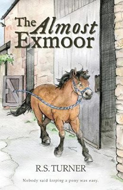 The Almost Exmoor, TURNER,  R. S. - Paperback - 9781913071103