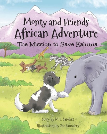 Monty and Friends African Adventure, M T Sanders - Paperback - 9781913071516
