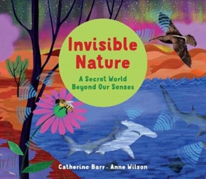 Invisible Nature, Catherine Barr - Paperback - 9781913074371