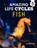 Amazing Life Cycles- Fish, John Allan - Paperback - 9781913077037