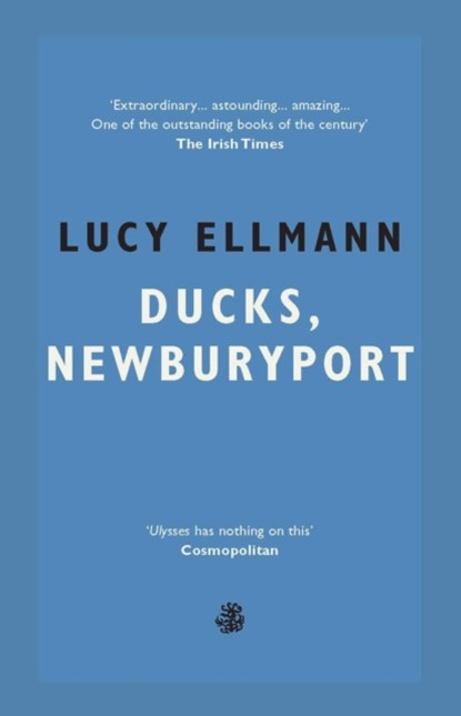 Ducks, Newburyport, Lucy Ellmann - Paperback - 9781913111984