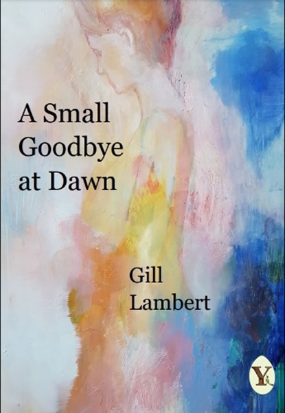 A Small Goodbye at Dawn, Gill Lambert - Paperback - 9781913122287