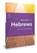 Journey Through Hebrews, Robert M Solomon - Overig - 9781913135034