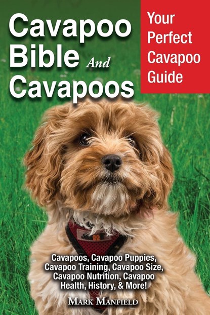 Cavapoo Bible And Cavapoos, Mark Manfield - Paperback - 9781913154004