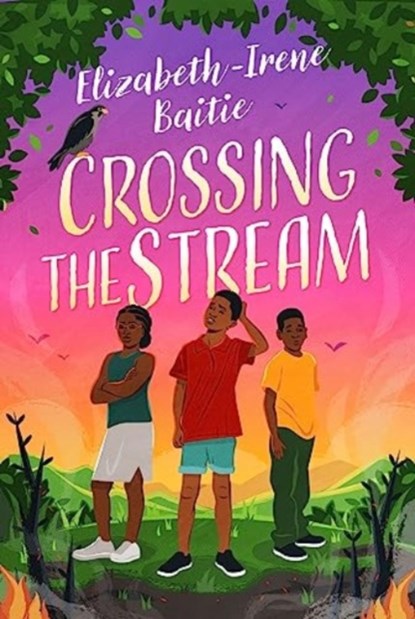 Crossing the Stream, Elizabeth-Irene Baitie - Paperback - 9781913175467