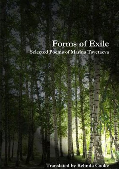Forms of Exile, Marina Tsvetaeva - Paperback - 9781913201005