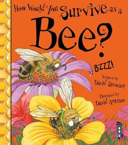 How Would You Survive As A Bee?, David Stewart - Paperback - 9781913337735
