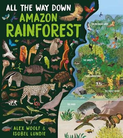 All The Way Down: Amazon Rainforest, Alex Woolf - Gebonden - 9781913337988