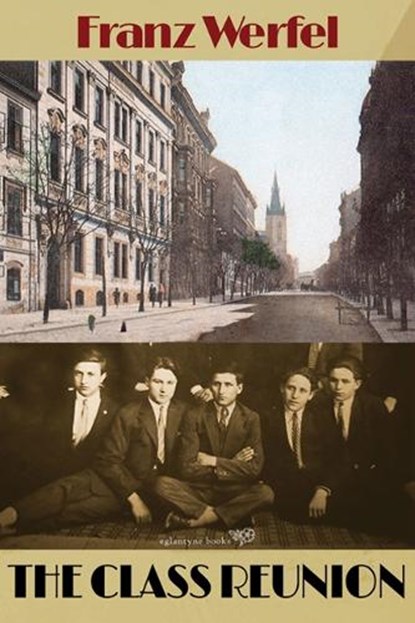 Class Reunion, Franz Werfel - Paperback - 9781913378189